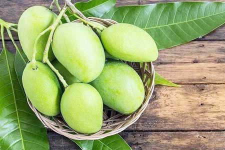Mango Image